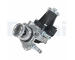 AGR-Ventil DELPHI EG10749-12B1