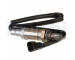 Lambda sonda DELPHI ES10559-12B1
