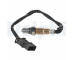 Lambda sonda DELPHI ES20883-12B1