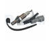 Lambda sonda DELPHI ES21528-12B1