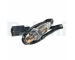 Lambda sonda DELPHI ES21582-12B1