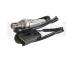 Lambda sonda DELPHI ES21643-12B1