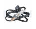 Lambda sonda DELPHI ES21646-12B1