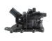 Termostat, chladivo METZGER AUTOTEILE 4006502