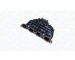 Sací trubkový modul MAGNETI MARELLI 802000501010