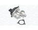 AGR-Ventil MAGNETI MARELLI 571822112305