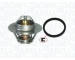 Termostat, chladivo MAGNETI MARELLI 352317101490