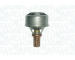 Termostat, chladivo MAGNETI MARELLI 352317001130