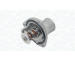 Termostat, chladivo MAGNETI MARELLI 352317100010