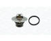Termostat chladenia MAGNETI MARELLI 352317005370