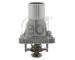 Termostat, chladivo FEBI BILSTEIN 49188