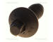 Upevnovaci cepy, pricne zavesne rameno TRISCAN 8501 0513