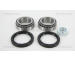 Sada ložisek kol TRISCAN 8530 25113