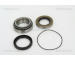 Sada ložisek kol TRISCAN 8530 42205