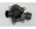 Termostat, chladivo TRISCAN 8620 22488