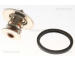 Termostat, chladivo TRISCAN 8620 2282