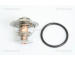 Termostat, chladivo TRISCAN 8620 23488