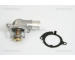 Termostat, chladivo TRISCAN 8620 24687