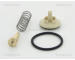 Termostat, chladivo TRISCAN 8620 24987