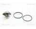 Termostat, chladivo TRISCAN 8620 2582