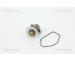 Termostat, chladivo TRISCAN 8620 27692