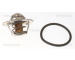 Termostat, chladivo TRISCAN 8620 28182