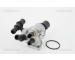Termostat, chladivo TRISCAN 8620 28288