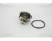 Termostat, chladivo TRISCAN 8620 31695