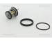 Termostat, chladivo TRISCAN 8620 31795