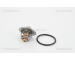 Termostat, chladivo TRISCAN 8620 32582