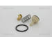 Termostat, chladivo TRISCAN 8620 329105