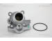 Termostat, chladivo TRISCAN 8620 37182