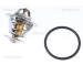 Termostat, chladivo TRISCAN 8620 3787