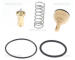 Termostat, chladivo TRISCAN 8620 38287