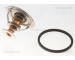 Termostat, chladivo TRISCAN 8620 38900