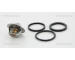 Termostat, chladivo TRISCAN 8620 3992
