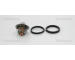 Termostat, chladivo TRISCAN 8620 40282