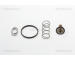 Termostat, chladivo TRISCAN 8620 44890