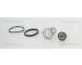 Termostat, chladivo TRISCAN 8620 44982