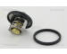 Termostat, chladivo TRISCAN 8620 45288