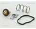 Termostat, chladivo TRISCAN 8620 45383