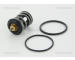 Termostat, chladivo TRISCAN 8620 465105