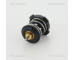 Termostat, chladivo TRISCAN 8620 46687