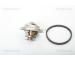 Termostat, chladivo TRISCAN 8620 5188