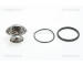 Termostat, chladivo TRISCAN 8620 5385