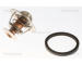 Termostat, chladivo TRISCAN 8620 5582