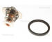Termostat, chladivo TRISCAN 8620 5588