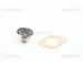Termostat, chladivo TRISCAN 8620 5688