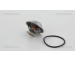 Termostat, chladivo TRISCAN 8620 6392