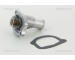 Termostat, chladivo TRISCAN 8620 6688